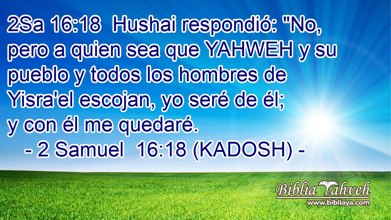  Hushai respondió: 