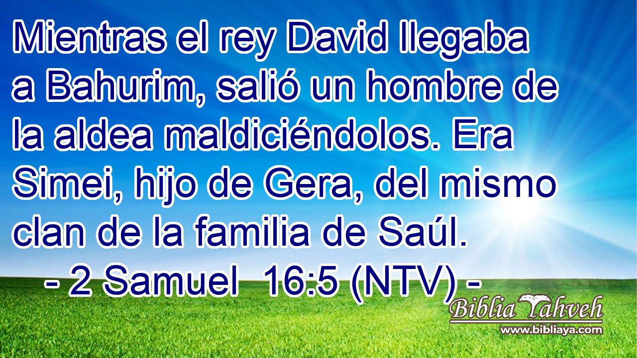 Mientras el rey David llegaba a Bahurim, salió un hombre de la aldea maldiciéndolos. Era Simei, hijo de Gera, del mismo clan de la familia de Saúl.