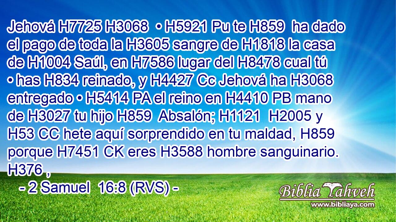 Jehová H7725 H3068  • H5921 Pu te H859  ha dado el pago de toda la H3605 sangre de H1818 la casa de H1004 Saúl, en H7586 lugar del H8478 cual tú • has H834 reinado, y H4427 Cc Jehová ha H3068 entregado • H5414 PA el reino en H4410 PB mano de H3027 tu hijo H859  Absalón; H1121  H2005 y H53 CC hete aquí sorprendido en tu maldad, H859  porque H7451 CK eres H3588 hombre sanguinario. H376 ,  