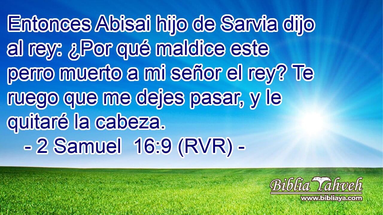 Entonces Abisai hijo de Sarvia dijo al rey: ¿Por qué maldice este perro muerto a mi señor el rey? Te ruego que me dejes pasar, y le quitaré la cabeza.