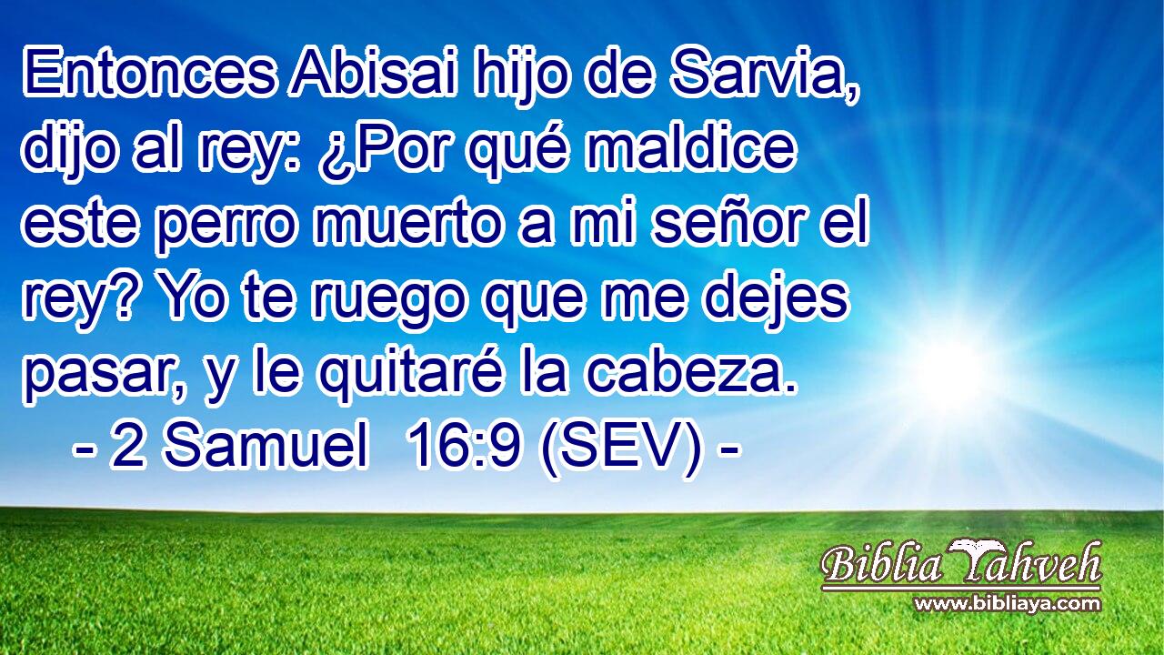 Entonces Abisai hijo de Sarvia, dijo al rey: ¿Por qué maldice este perro muerto a mi señor el rey? Yo te ruego que me dejes pasar, y le quitaré la cabeza.