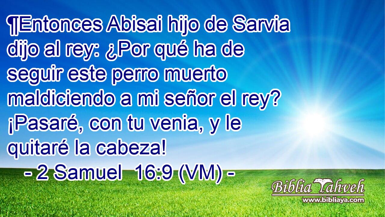  ¶Entonces Abisai hijo de Sarvia dijo al rey: ¿Por qué ha de seguir este perro muerto maldiciendo a mi señor el rey? ¡Pasaré, con tu venia, y le quitaré la cabeza! 