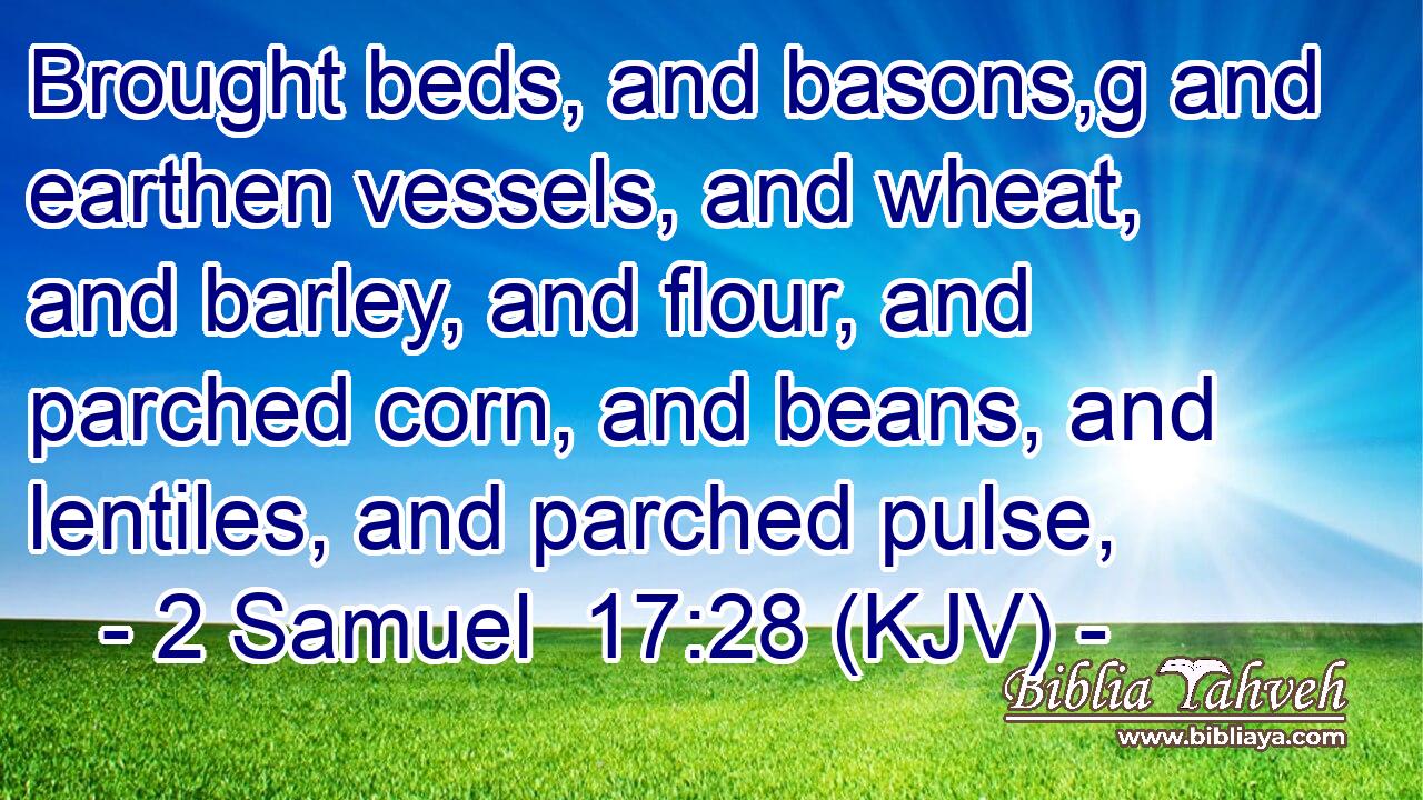Brought beds, and basons,g and earthen vessels, and wheat, and barley, and flour, and parched corn, and beans, and lentiles, and parched pulse,