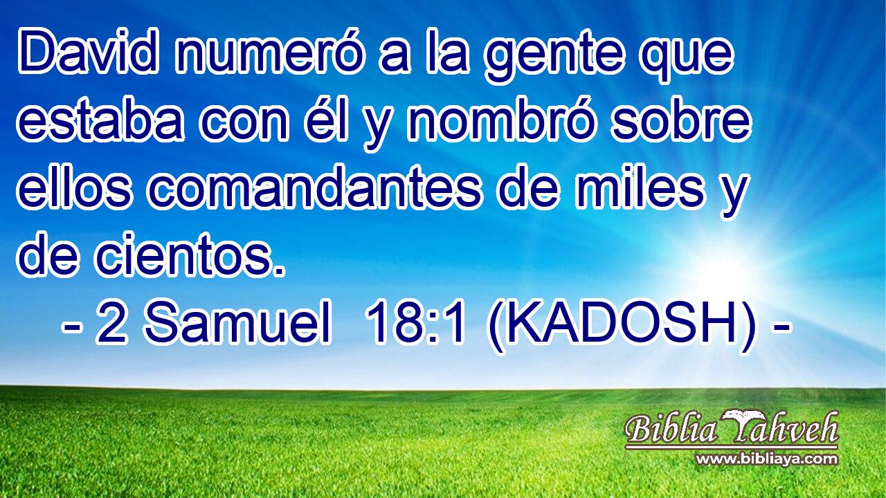  David numeró a la gente que estaba con él y nombró sobre ellos comandantes de miles y de cientos. 