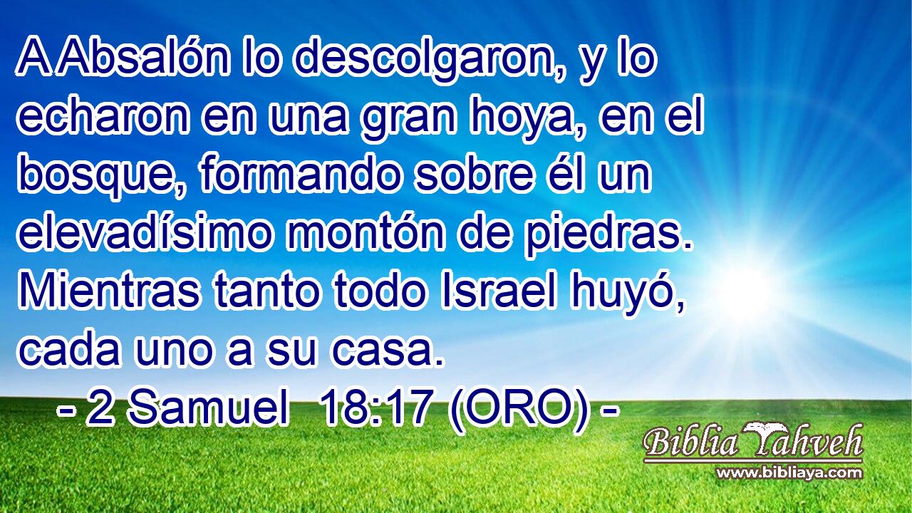  A Absalón lo descolgaron, y lo echaron en una gran hoya, en el bosque, formando sobre él un elevadísimo montón de piedras. Mientras tanto todo Israel huyó, cada uno a su casa. 