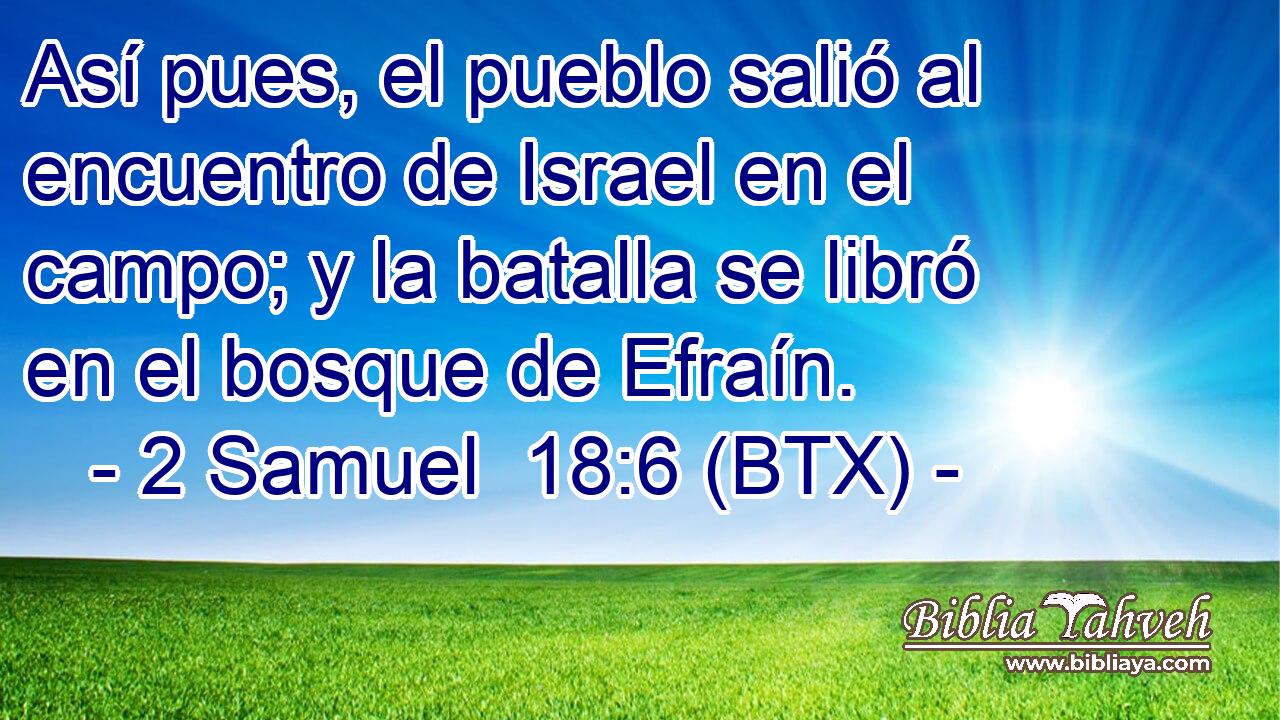 Así pues, el pueblo salió al encuentro de Israel en el campo; y la batalla se libró en el bosque de Efraín.