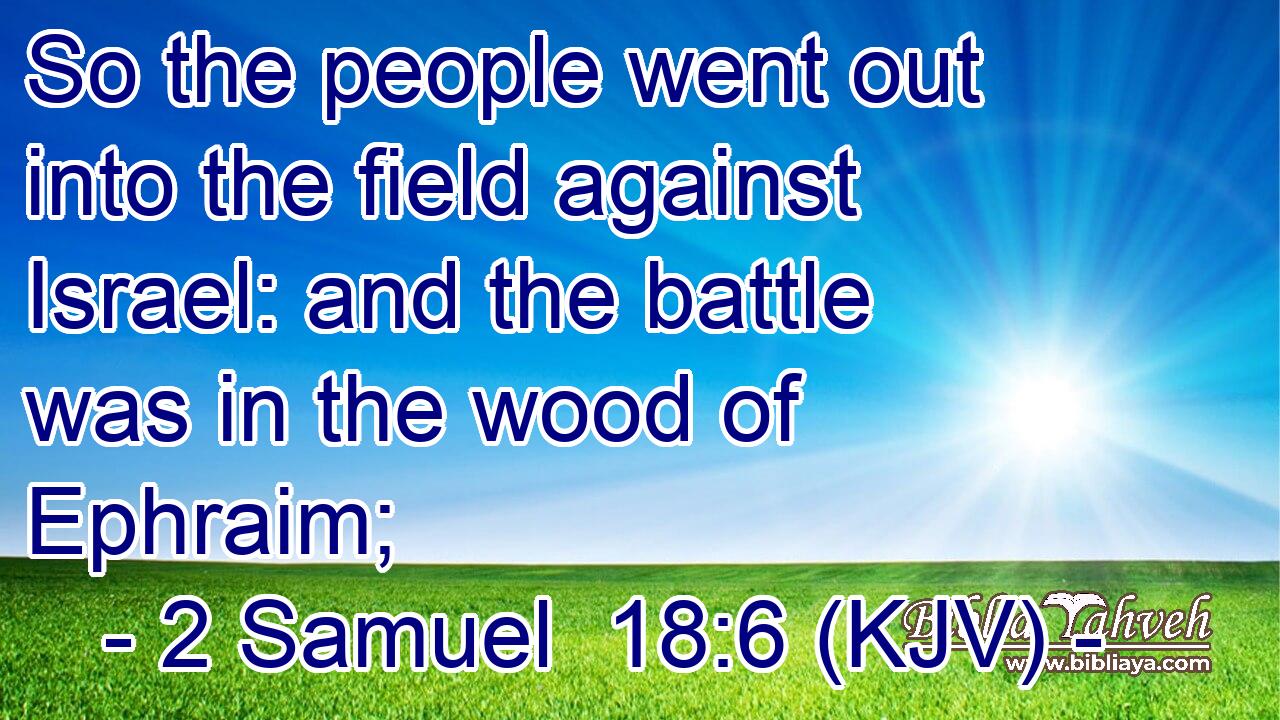 So the people went out into the field against Israel: and the battle was in the wood of Ephraim;