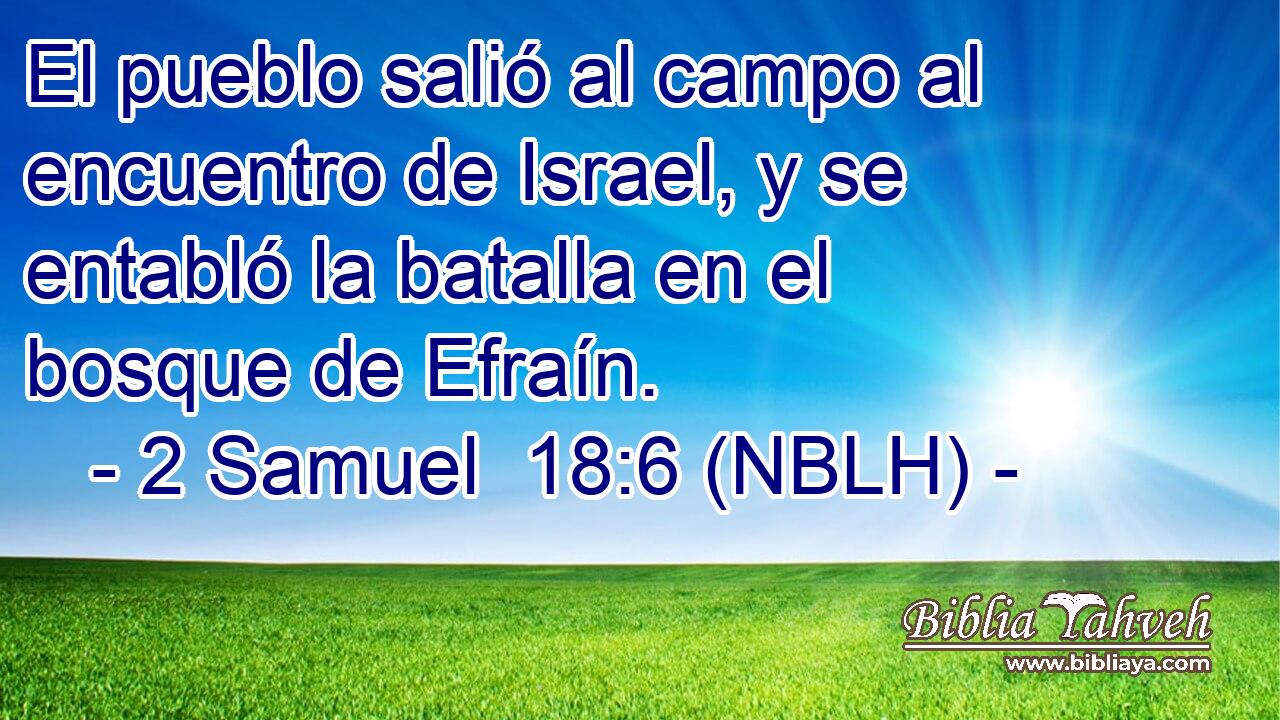  El pueblo salió al campo al encuentro de Israel, y se entabló la batalla en el bosque de Efraín. 