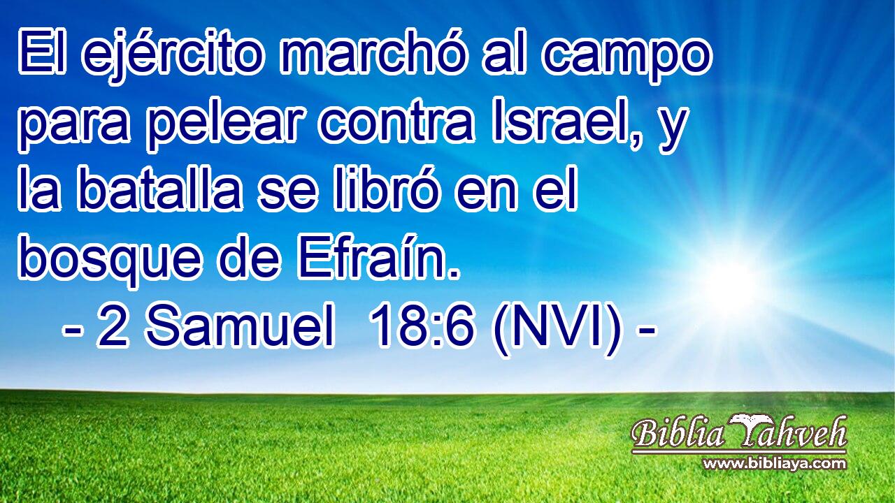  El ejército marchó al campo para pelear contra Israel, y la batalla se libró en el bosque de Efraín. 