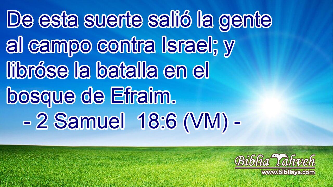  De esta suerte salió la gente al campo contra Israel; y libróse la batalla en el bosque de Efraim. 