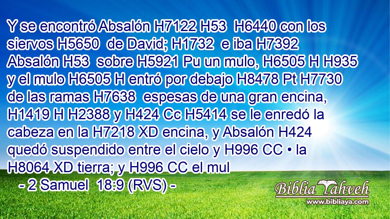 Y se encontró Absalón H7122 H53  H6440 con los siervos H5650  de David; H1732  e iba H7392  Absalón H53  sobre H5921 Pu un mulo, H6505 H H935 y el mulo H6505 H entró por debajo H8478 Pt H7730 de las ramas H7638  espesas de una gran encina, H1419 H H2388 y H424 Cc H5414 se le enredó la cabeza en la H7218 XD encina, y Absalón H424 quedó suspendido entre el cielo y H996 CC • la H8064 XD tierra; y H996 CC el mul