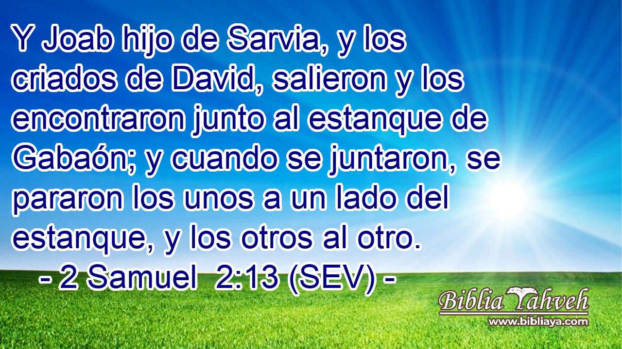 Y Joab hijo de Sarvia, y los criados de David, salieron y los encontraron junto al estanque de Gabaón; y cuando se juntaron, se pararon los unos a un lado del estanque, y los otros al otro.
