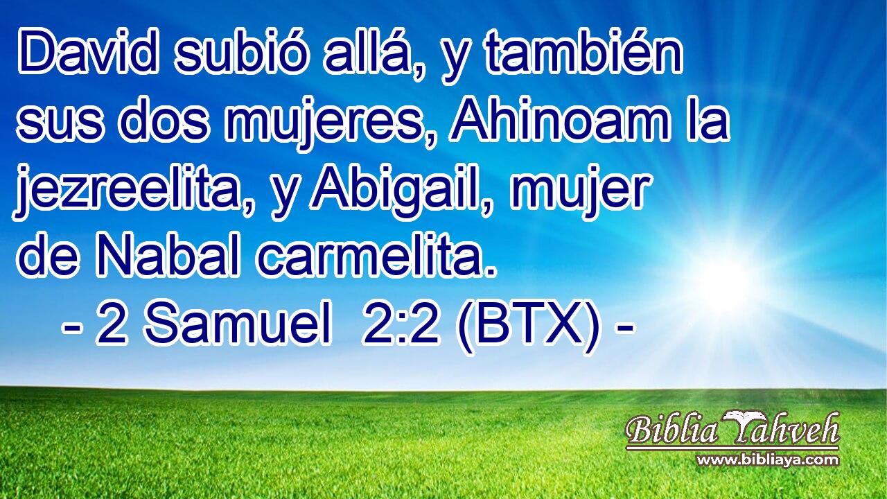 David subió allá, y también sus dos mujeres, Ahinoam la jezreelita, y Abigail, mujer de Nabal carmelita.