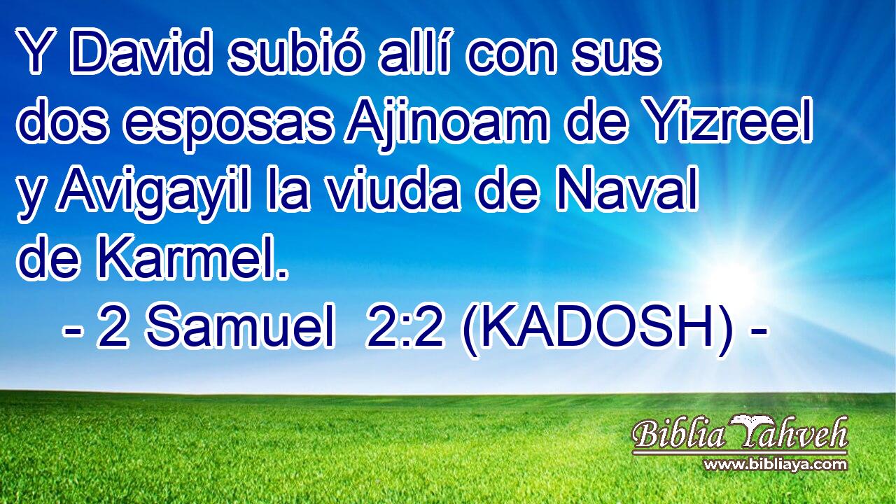  Y David subió allí con sus dos esposas Ajinoam de Yizreel y Avigayil la viuda de Naval de Karmel. 
