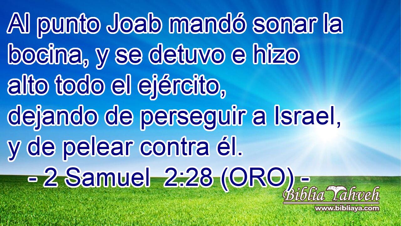  Al punto Joab mandó sonar la bocina, y se detuvo e hizo alto todo el ejército, dejando de perseguir a Israel, y de pelear contra él. 