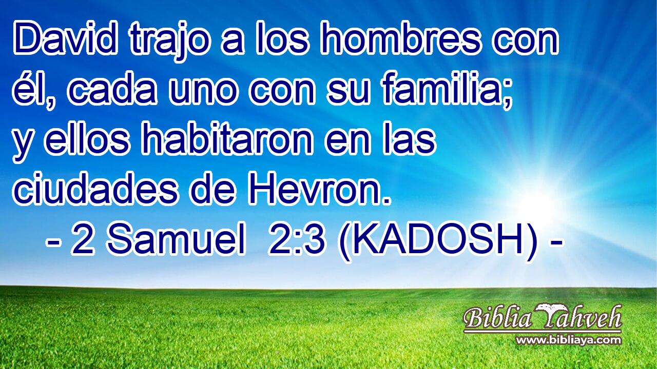 David trajo a los hombres con él, cada uno con su familia; y ellos habitaron en las ciudades de Hevron. 