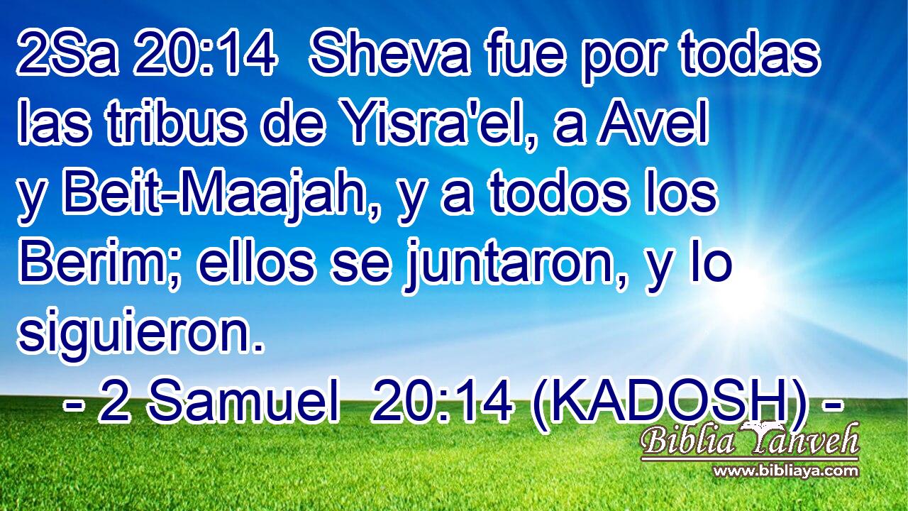  Sheva fue por todas las tribus de Yisra'el, a Avel y Beit-Maajah, y a todos los Berim; ellos se juntaron, y lo siguieron. 