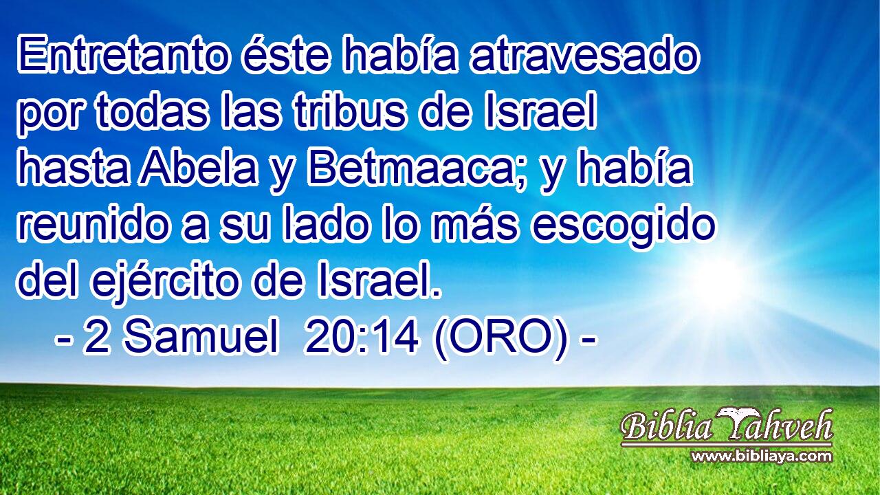  Entretanto éste había atravesado por todas las tribus de Israel hasta Abela y Betmaaca; y había reunido a su lado lo más escogido del ejército de Israel. 