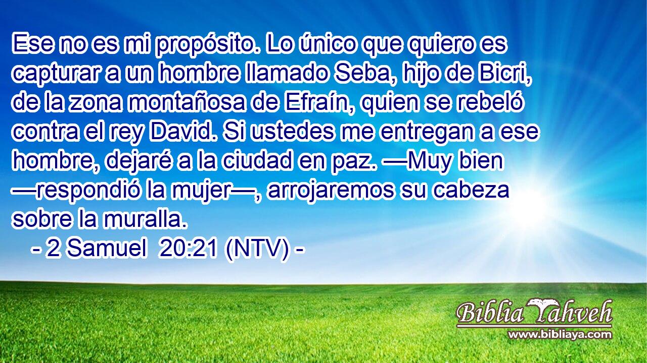 Ese no es mi propósito. Lo único que quiero es capturar a un hombre llamado Seba, hijo de Bicri, de la zona montañosa de Efraín, quien se rebeló contra el rey David. Si ustedes me entregan a ese hombre, dejaré a la ciudad en paz. —Muy bien —respondió la mujer—, arrojaremos su cabeza sobre la muralla.