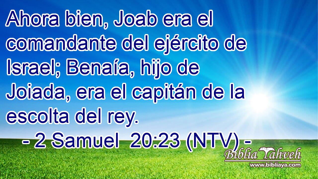 Ahora bien, Joab era el comandante del ejército de Israel; Benaía, hijo de Joiada, era el capitán de la escolta del rey.