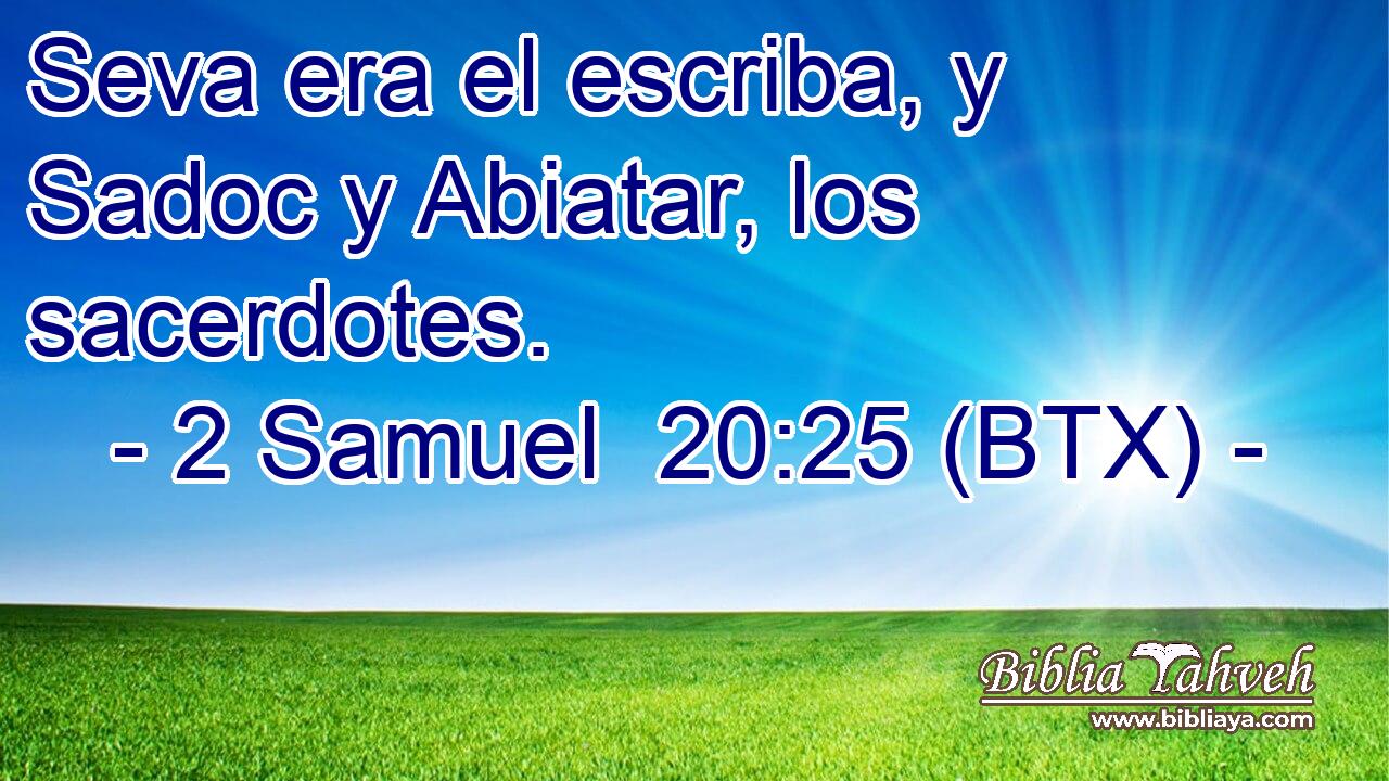 Seva era el escriba, y Sadoc y Abiatar, los sacerdotes.