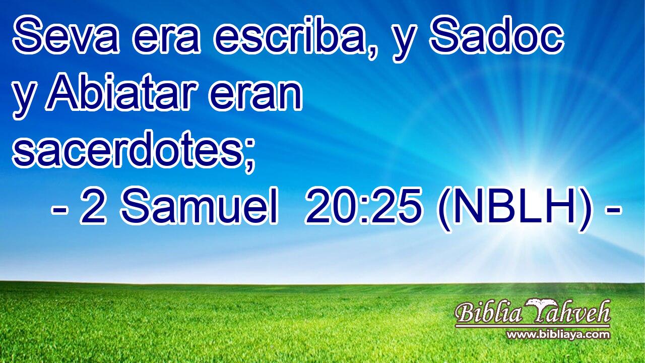  Seva era escriba, y Sadoc y Abiatar eran sacerdotes; 