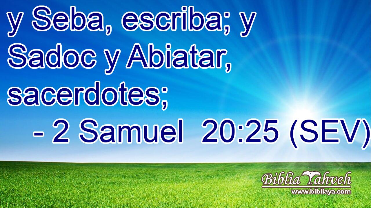 y Seba, escriba; y Sadoc y Abiatar, sacerdotes;