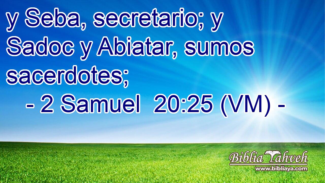  y Seba, secretario; y Sadoc y Abiatar, sumos sacerdotes; 