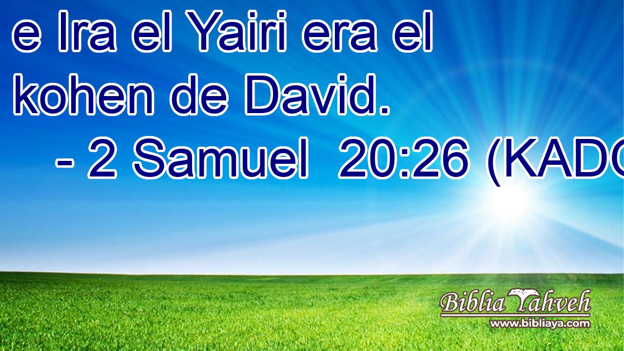  e Ira el Yairi era el kohen de David. 