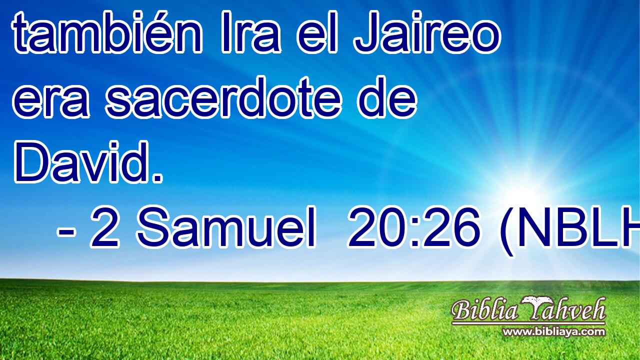  también Ira el Jaireo era sacerdote de David. 