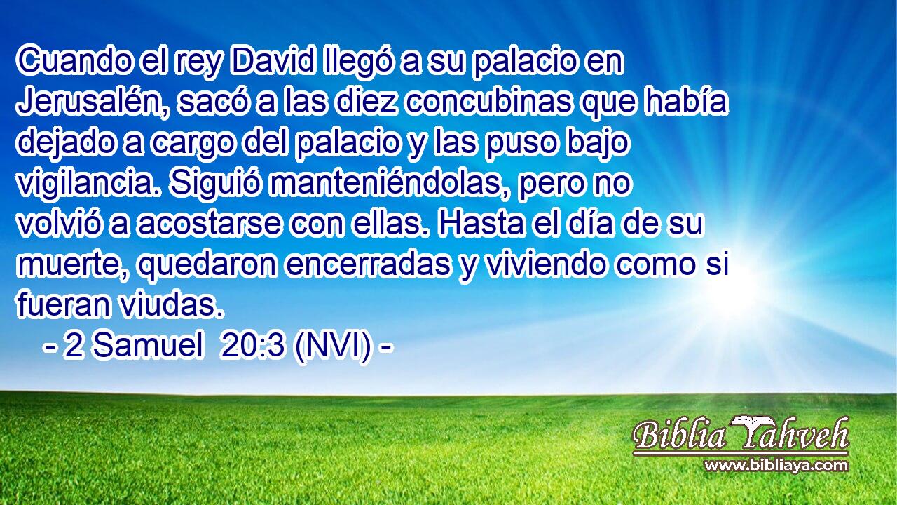  Cuando el rey David llegó a su palacio en Jerusalén, sacó a las diez concubinas que había dejado a cargo del palacio y las puso bajo vigilancia. Siguió manteniéndolas, pero no volvió a acostarse con ellas. Hasta el día de su muerte, quedaron encerradas y viviendo como si fueran viudas. 