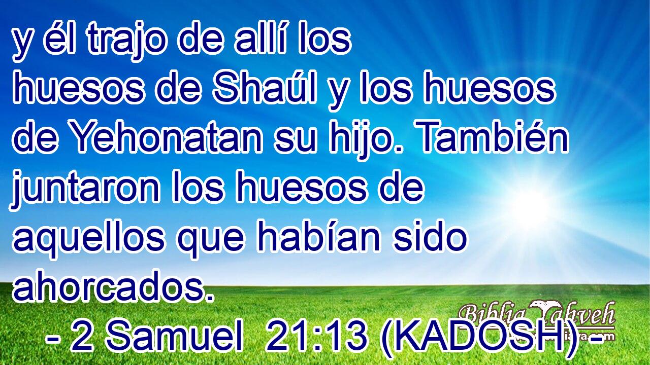  y él trajo de allí los huesos de Shaúl y los huesos de Yehonatan su hijo. También juntaron los huesos de aquellos que habían sido ahorcados. 