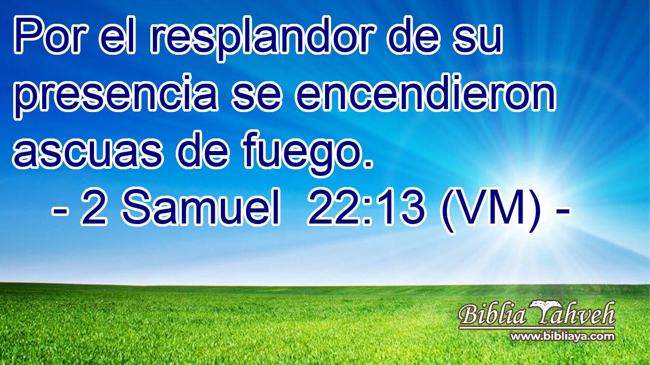  Por el resplandor de su presencia se encendieron ascuas de fuego. 