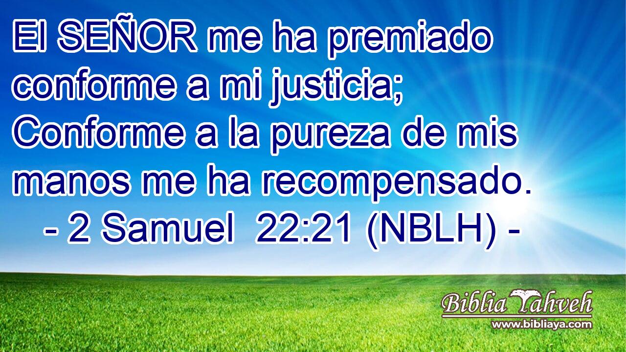  El SEÑOR me ha premiado conforme a mi justicia; Conforme a la pureza de mis manos me ha recompensado. 
