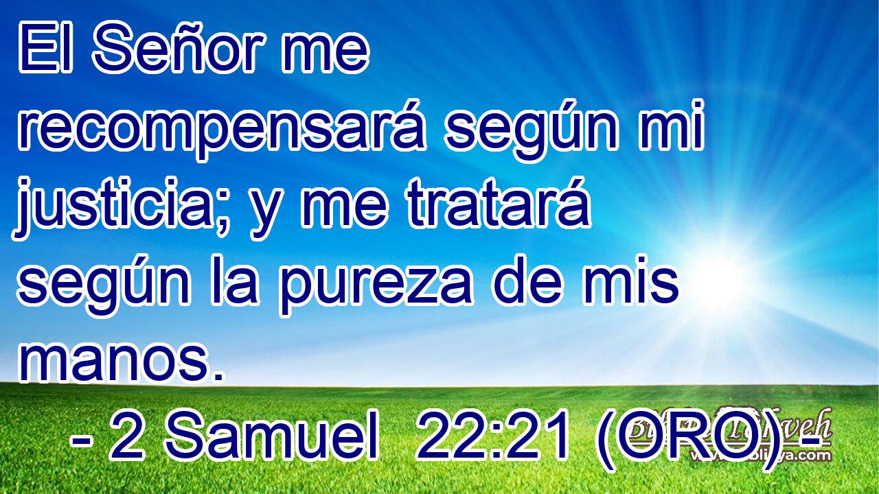  El Señor me recompensará según mi justicia; y me tratará según la pureza de mis manos. 