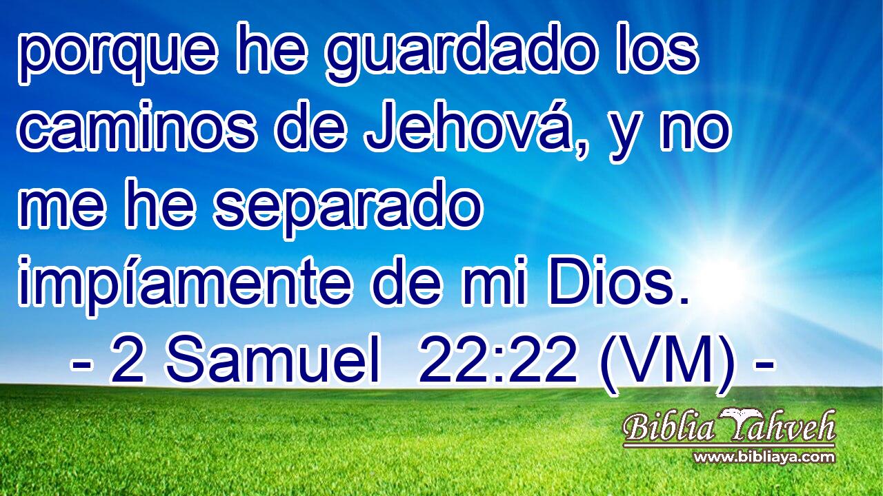  porque he guardado los caminos de Jehová, y no me he separado impíamente de mi Dios. 