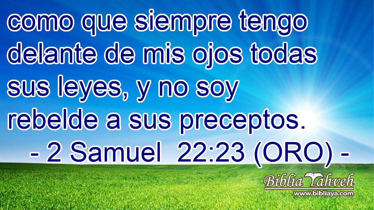  como que siempre tengo delante de mis ojos todas sus leyes, y no soy rebelde a sus preceptos. 