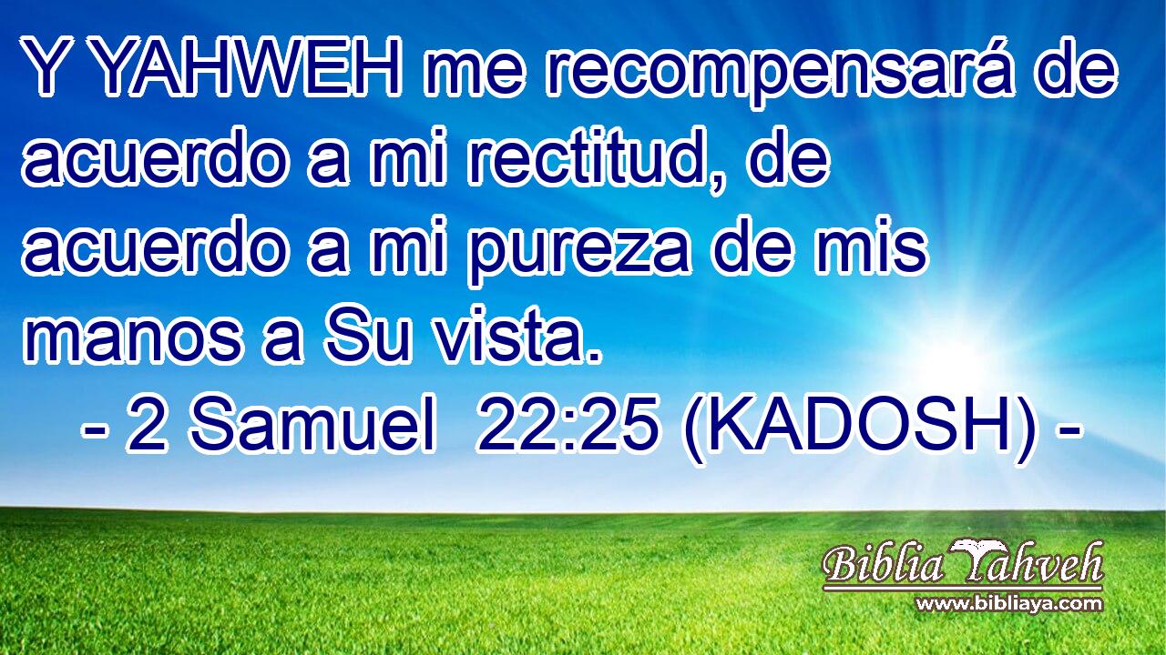  Y YAHWEH me recompensará de acuerdo a mi rectitud, de acuerdo a mi pureza de mis manos a Su vista. 