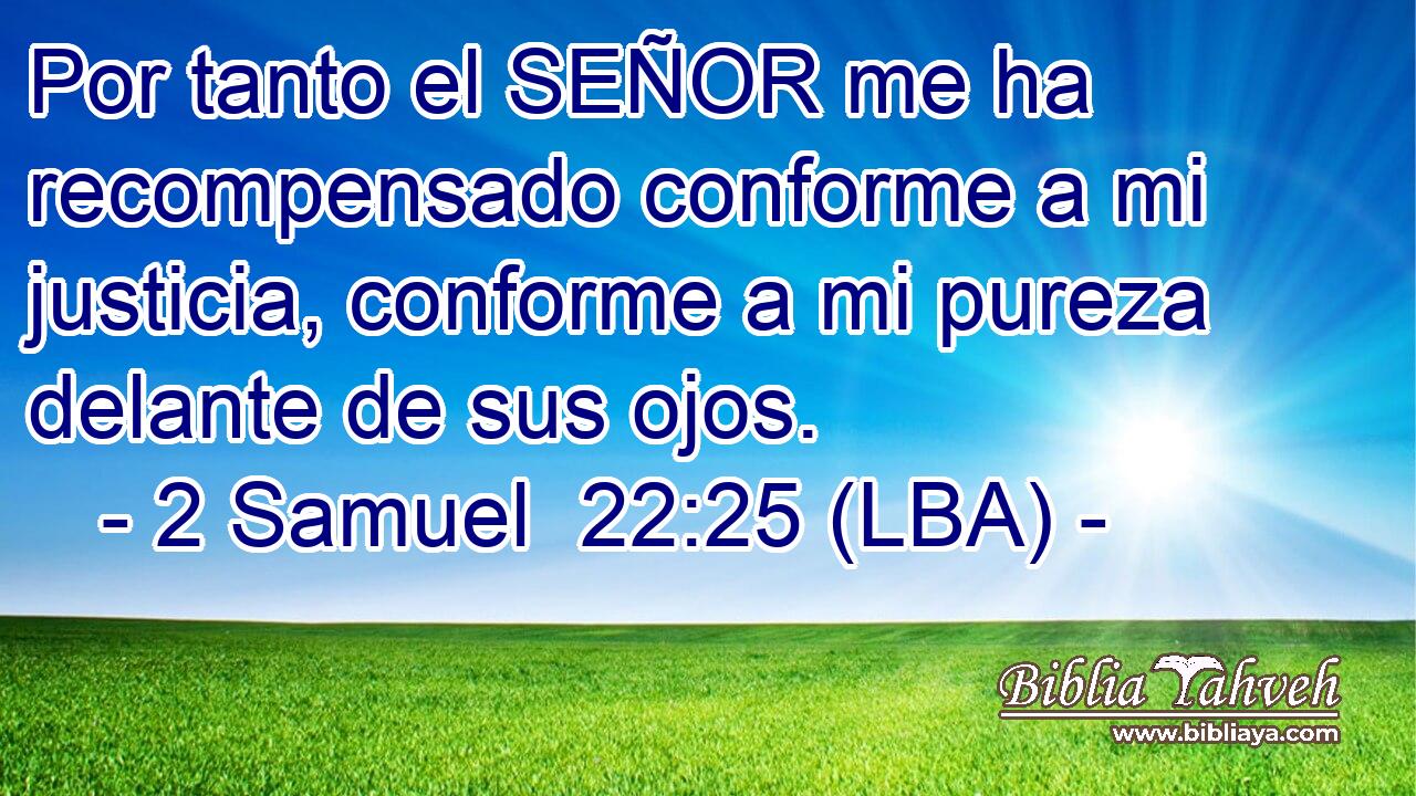 Por tanto el SEÑOR me ha recompensado conforme a mi justicia, conforme a mi pureza delante de sus ojos.