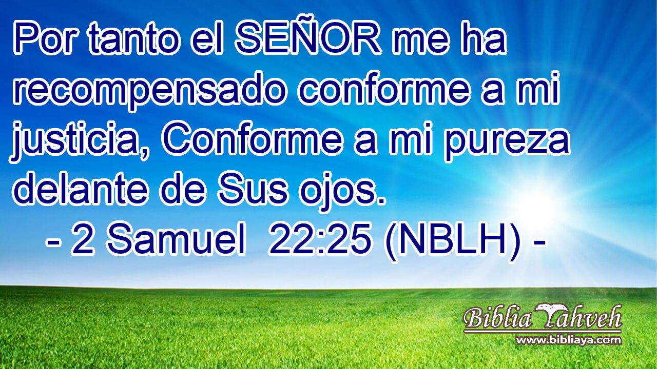  Por tanto el SEÑOR me ha recompensado conforme a mi justicia, Conforme a mi pureza delante de Sus ojos. 