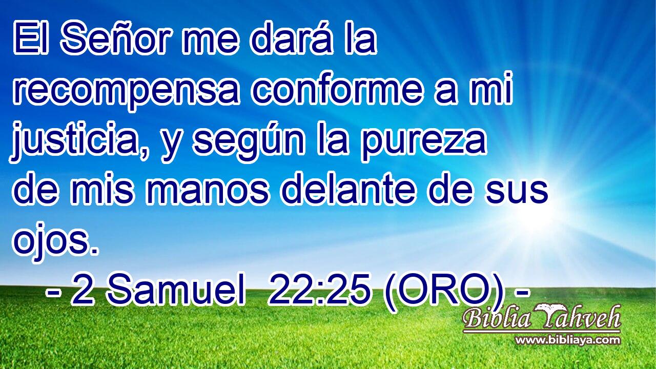  El Señor me dará la recompensa conforme a mi justicia, y según la pureza de mis manos delante de sus ojos. 