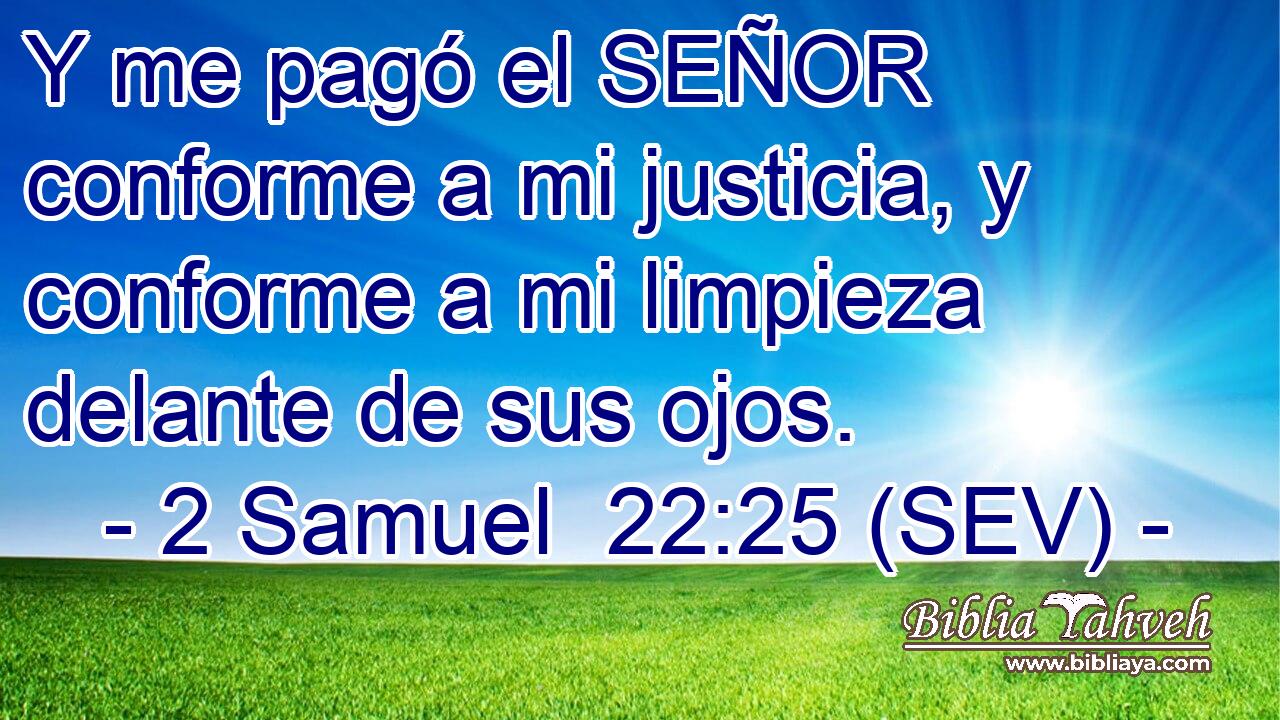 Y me pagó el SEÑOR conforme a mi justicia, y conforme a mi limpieza delante de sus ojos.