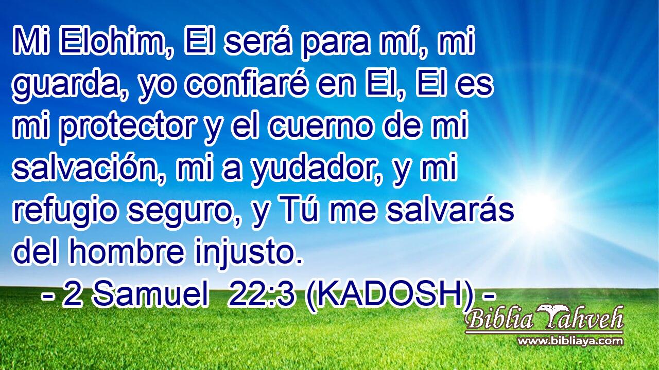  Mi Elohim, El será para mí, mi guarda, yo confiaré en El, El es mi protector y el cuerno de mi salvación, mi a yudador, y mi refugio seguro, y Tú me salvarás del hombre injusto. 