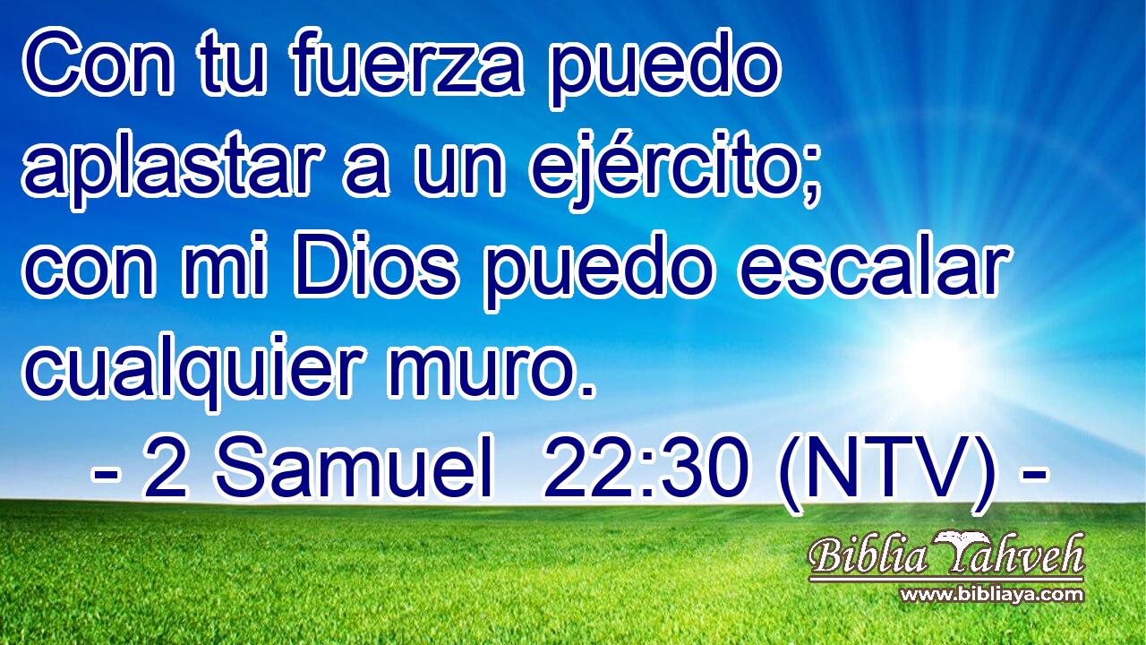 Con tu fuerza puedo aplastar a un ejército; con mi Dios puedo escalar cualquier muro.