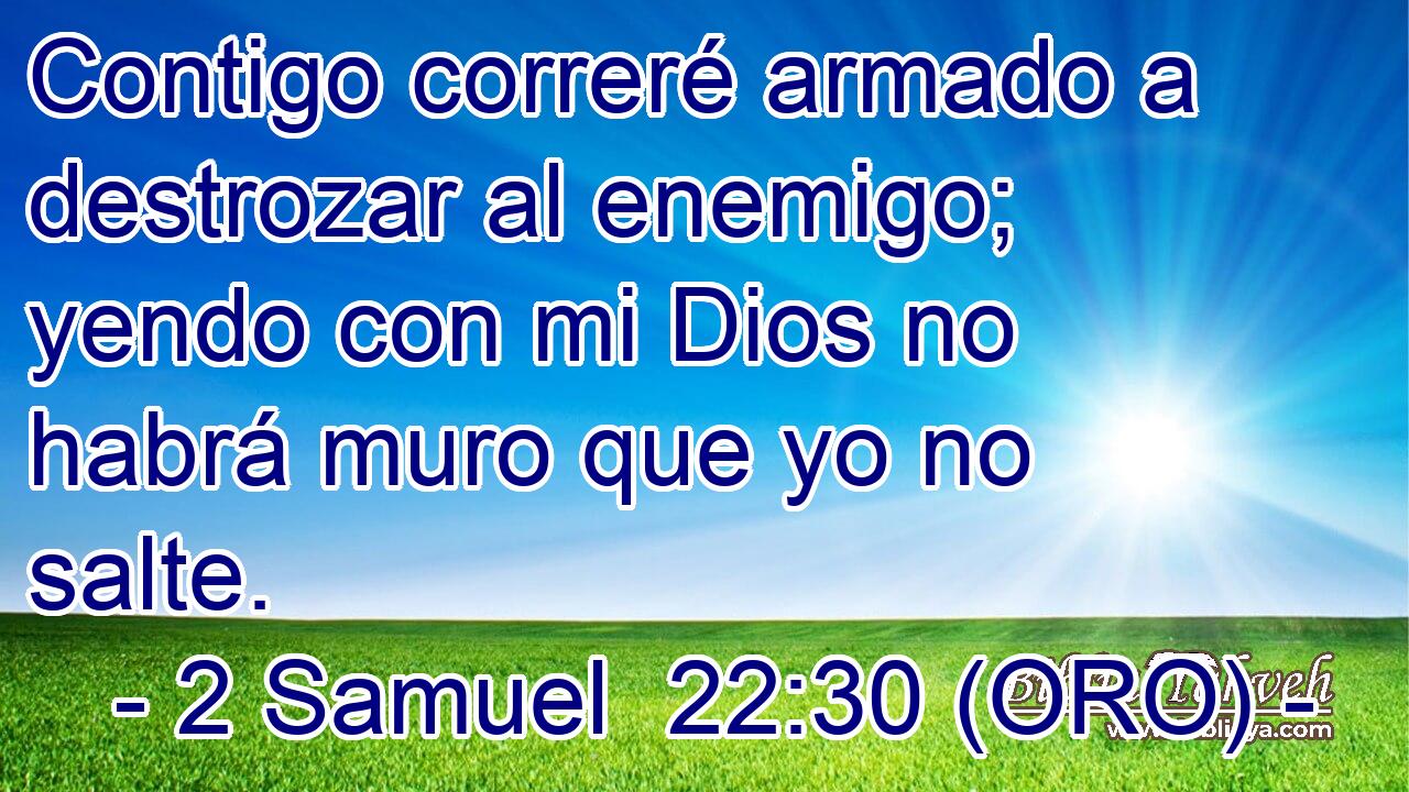  Contigo correré armado a destrozar al enemigo; yendo con mi Dios no habrá muro que yo no salte. 