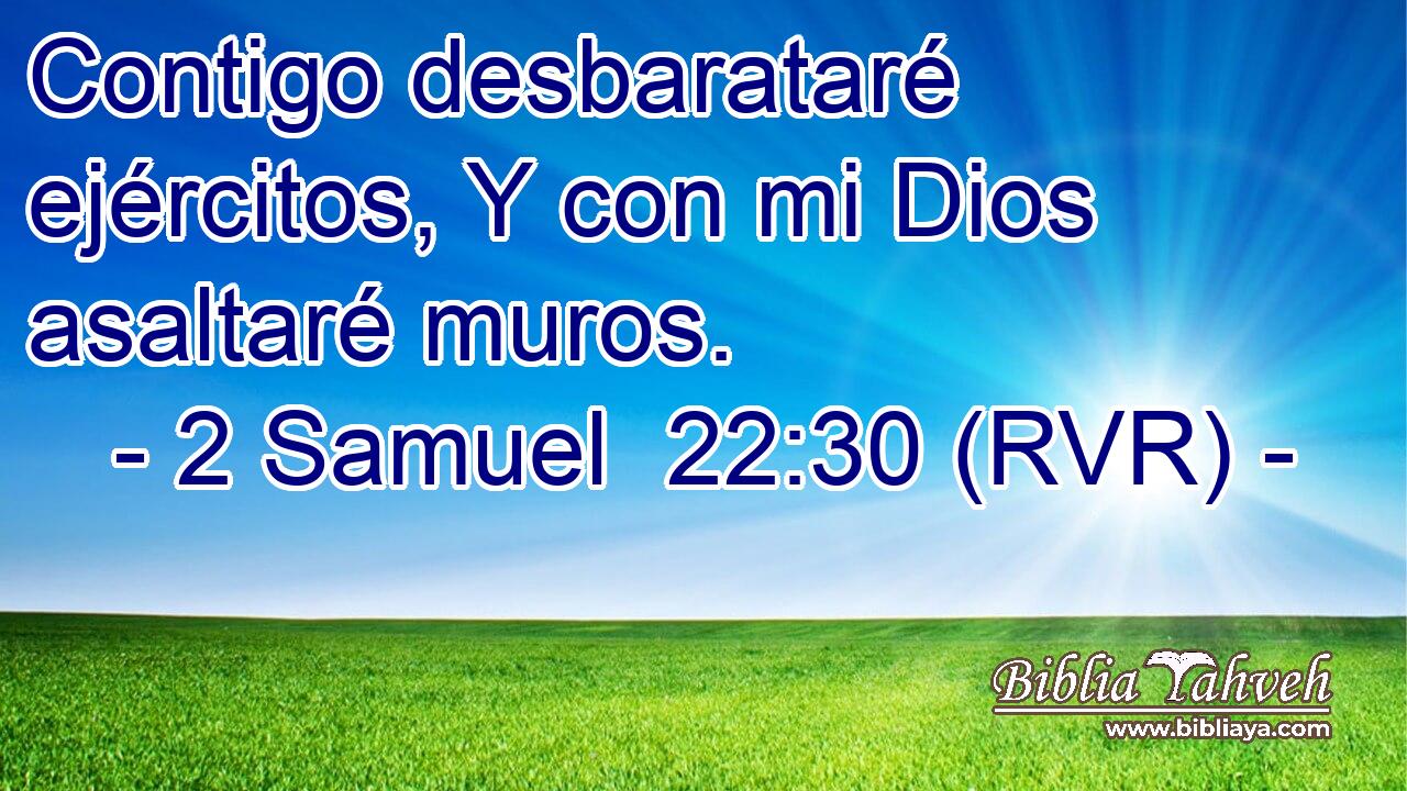 Contigo desbarataré ejércitos, Y con mi Dios asaltaré muros.