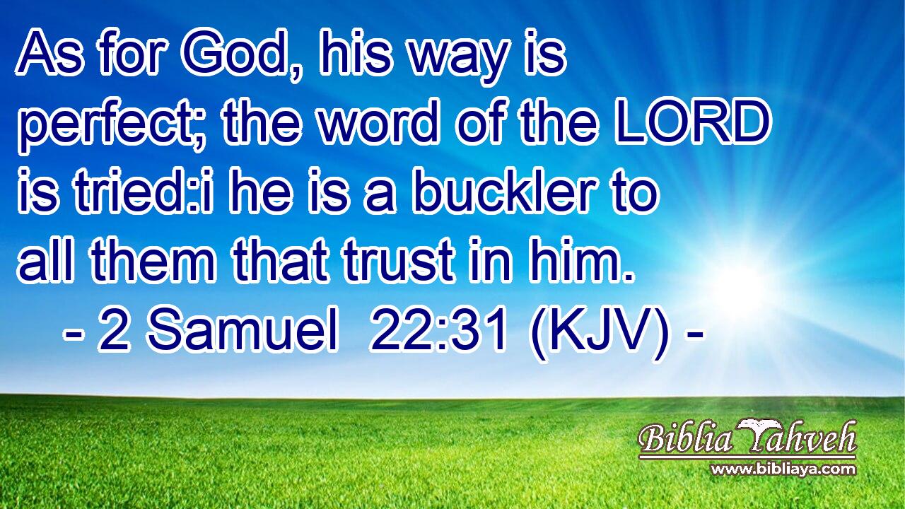 As for God, his way is perfect; the word of the LORD is tried:i he is a buckler to all them that trust in him.