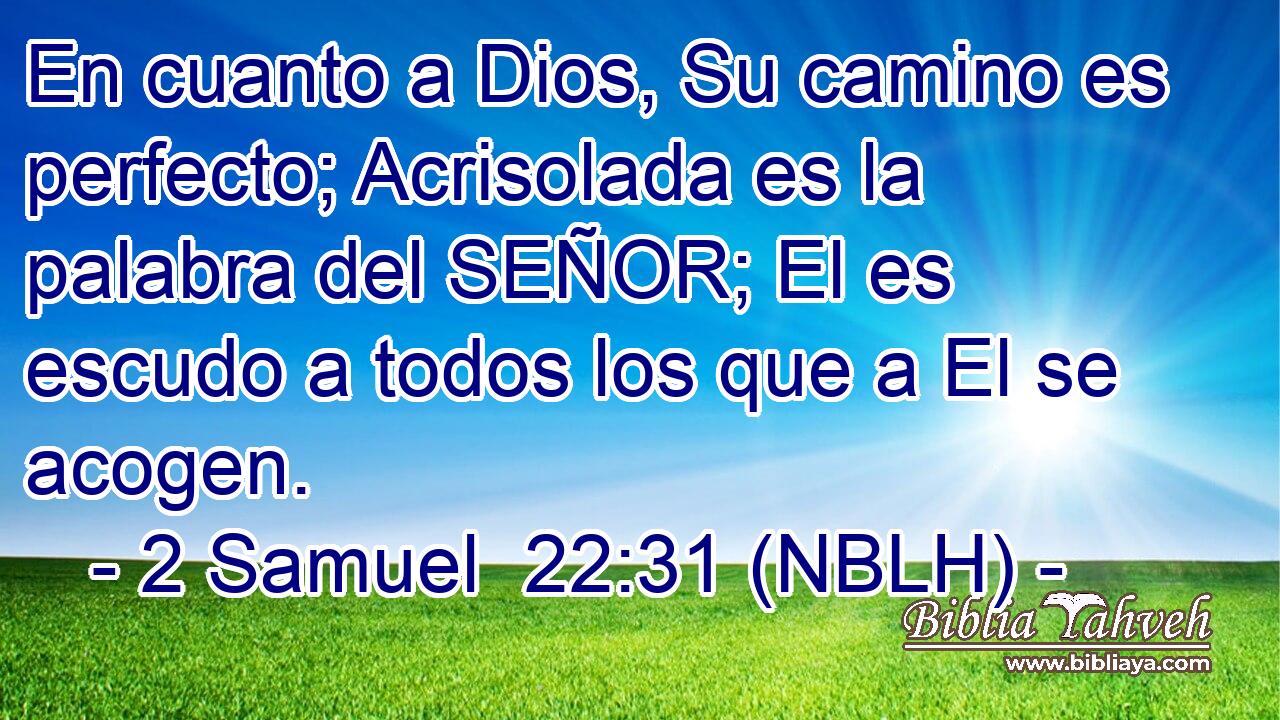  En cuanto a Dios, Su camino es perfecto; Acrisolada es la palabra del SEÑOR; El es escudo a todos los que a El se acogen. 
