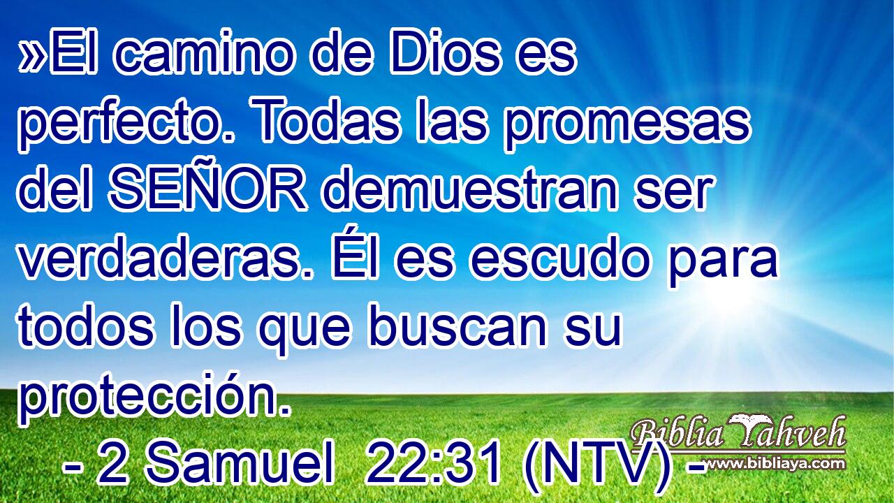 »El camino de Dios es perfecto. Todas las promesas del SEÑOR demuestran ser verdaderas. Él es escudo para todos los que buscan su protección.