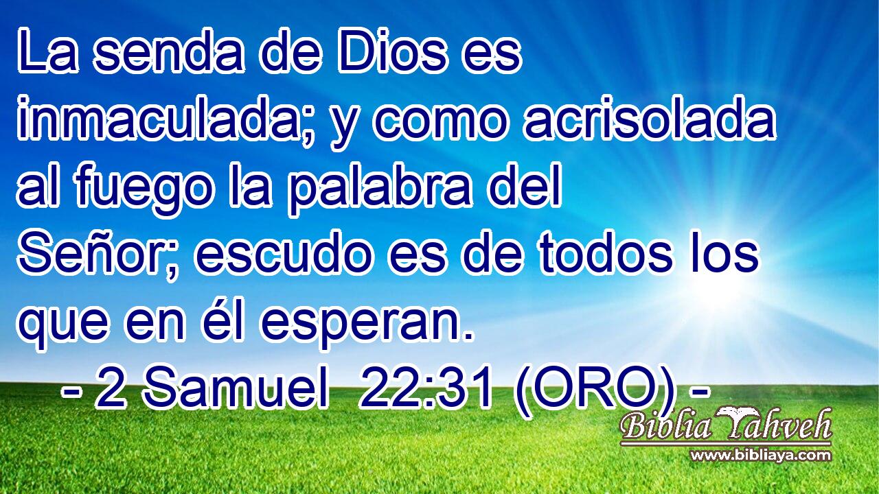  La senda de Dios es inmaculada; y como acrisolada al fuego la palabra del Señor; escudo es de todos los que en él esperan. 